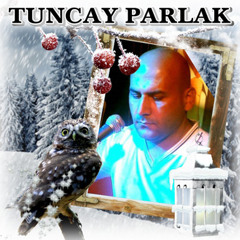 Tuncay Parlak - Pencereden Kar Geliyor (ATeKs Vers.)