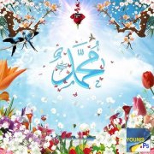 امين الدشناوي هذا نبينا الجزء 1