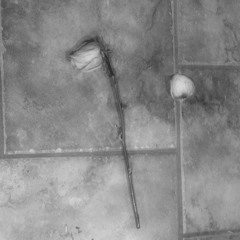 lil wayne - ice cream paint job (((plumes)) edit)