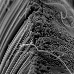 Carbon Chemistry