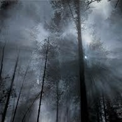 nice songs