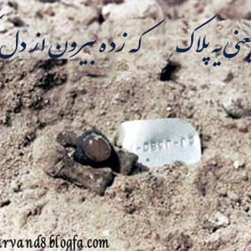شهدا