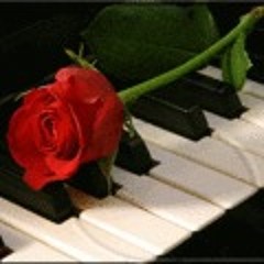 Anjos do resgate - mais do que amigos