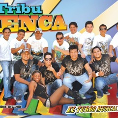 Tribu Lenca-Cocktel De Curiles En Vivo 1