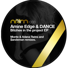 Amine Edge & DANCE - Bitches in the Project (Monte's & Adana Twins' Blade Runner Tool) preview