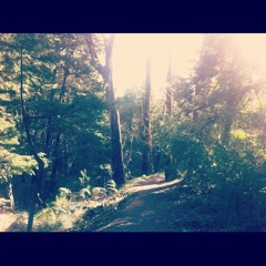 Home ~ Daughter ~ Cover