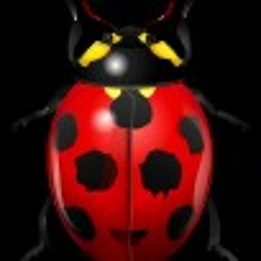 Nils Hoffman - Balloons  at Tourist Club Area