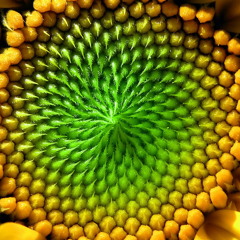 RELAXING AMBIENT MUSIC   7 HZ BINAURAL BEATS (SAMADHI TRANCE STATES)