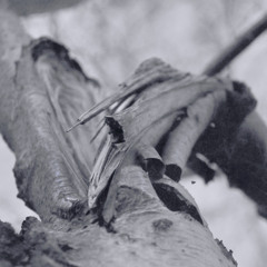 Aperture #18 - Snow Angel