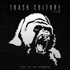The Avenger - Trash Culture (Trash Culture Blog 1 Year Anniversary) [Free Download]