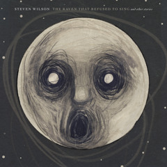 Steven Wilson - The Raven That Refused To Sing