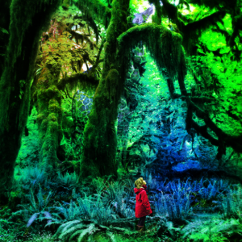 Jacco Gardner - Chameleon