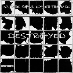 Nature Soul Cybertronic - Destroyed - coming soon @ 04.09.2013