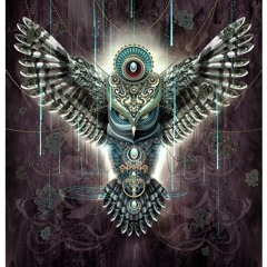 COSMIC RIDERS - "OWL" United as one (Demo Preview Cuts)