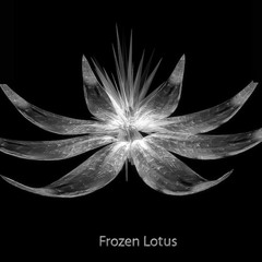 Frozen Lotus Preview