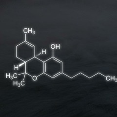 Celeste-Djane-DeliriumSet