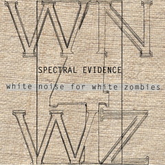 White Noise For White Zombies - National Anthem