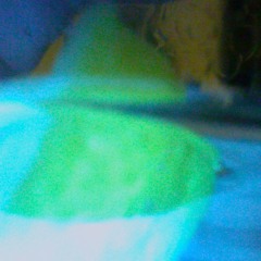 apricots/daychanger i