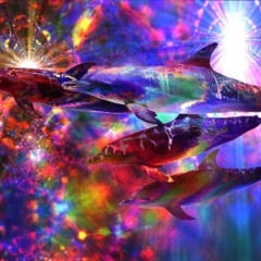 Around And Stuff Part 貳