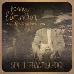 Sea Elephant School