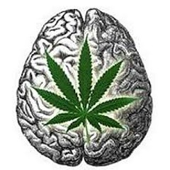 A Smokers Thought ft T Dot C