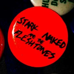 " Fast Cars " by Stark Naked & The Fleshtones (Live)