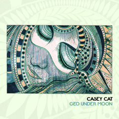 Casey Cat - Stealth of light