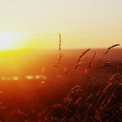 Summer Breeze (chillout)