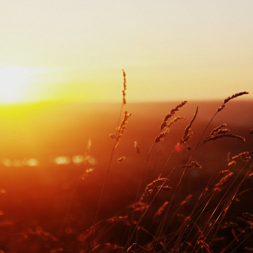 Summer Breeze (chillout)