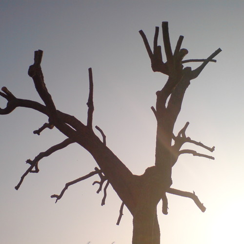 The Turmoil and the Tenderness