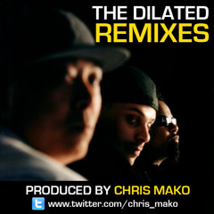 Dilated Peoples - You can't hide, you can't run - Chris Mako Remix (Instr.)