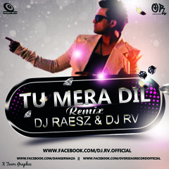 ★ TU MERA DIL(FALAK REMIX) - DJ RAESZ & DJ RV ★