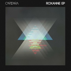 Capibara - Roxanne (LIES Remix)
