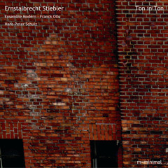 Ernstalbrecht Stiebler - Ensemble Modern - Ton In Ton
