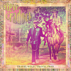 Steve Cradock - Sheer Inertia