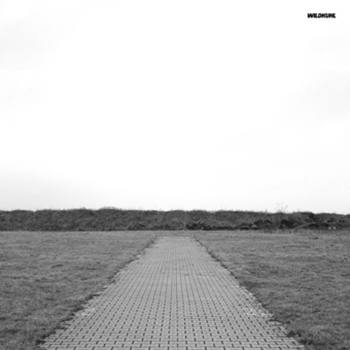 Nouvelle Chance - Rmx (Original by Pupkulies&Rebecca) Wildkuhl E.P. Acker Records 015