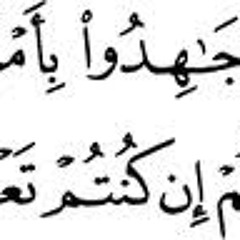 انْفِرُوا خِفَافًا وَثِقَالا وَجَاهِدُوا بِأَمْوَالِكُمْ وَأَنْفُسِكُمْ فِي سَبِيلِ اللَّهِ