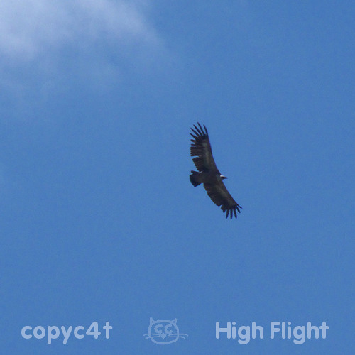 High Flight