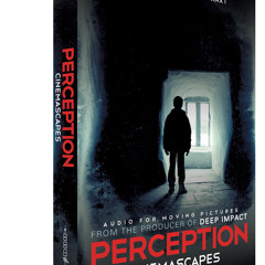 Perception Cinemascapes