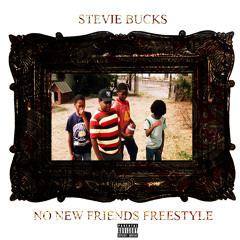 Stevie Bucks - No New Friends Freestyle