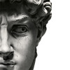 The Statue of David - House of the Rising Sun