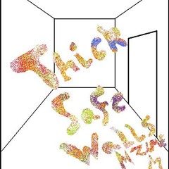 Thick Safe Walls (2012)