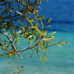 Círculos (Acústico) Mp3