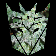 DeceptiChron