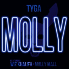 Tyga Ft. Wiz Khalifa Mally Mall - Molly (H&S)
