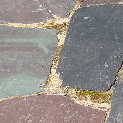 Phineus + Twine: Exiled To St Helena