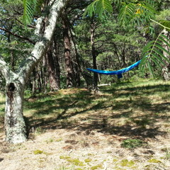 Phineus + Twine: The Swell Breaks