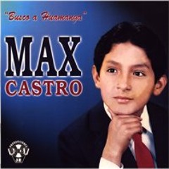 Rosita en capullo-max castro