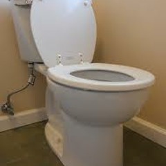 Shit that toilets say