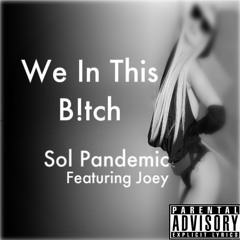Sol. Pandemic - We In This Bitch (feat Joey)